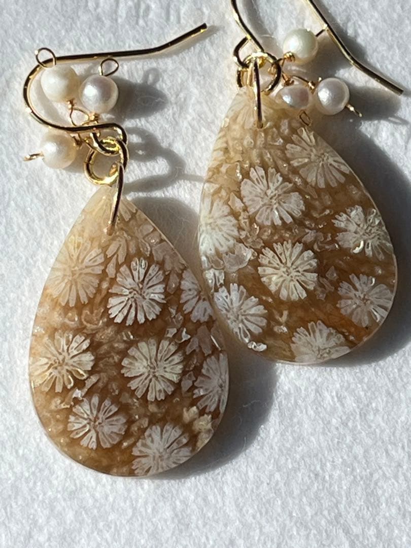 なまけもの　14kgf 透け感綺麗なフォッシルコーラル ピアス