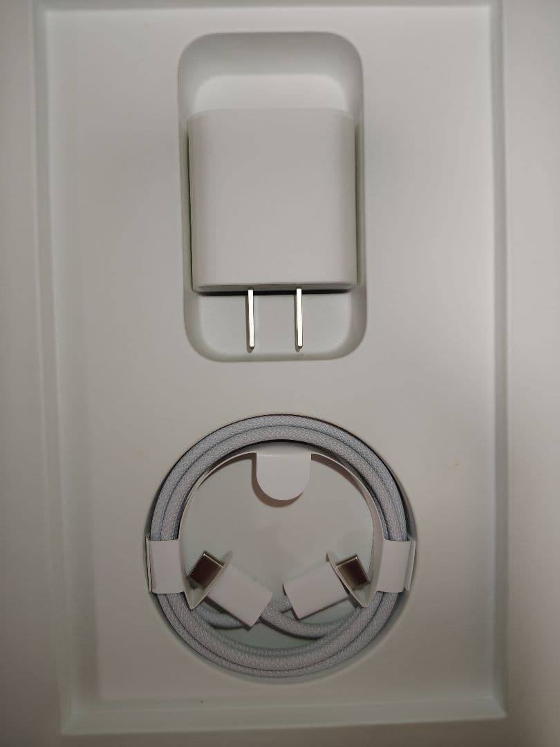 iPad 第10世代 64GB WiFi+Cellular SIMフリー ブルー