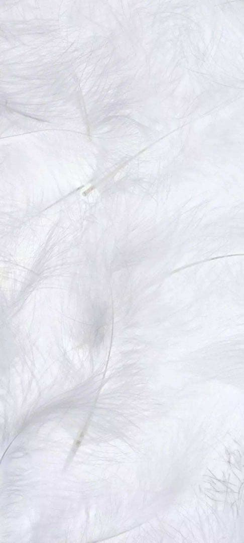 スニーカーマニア