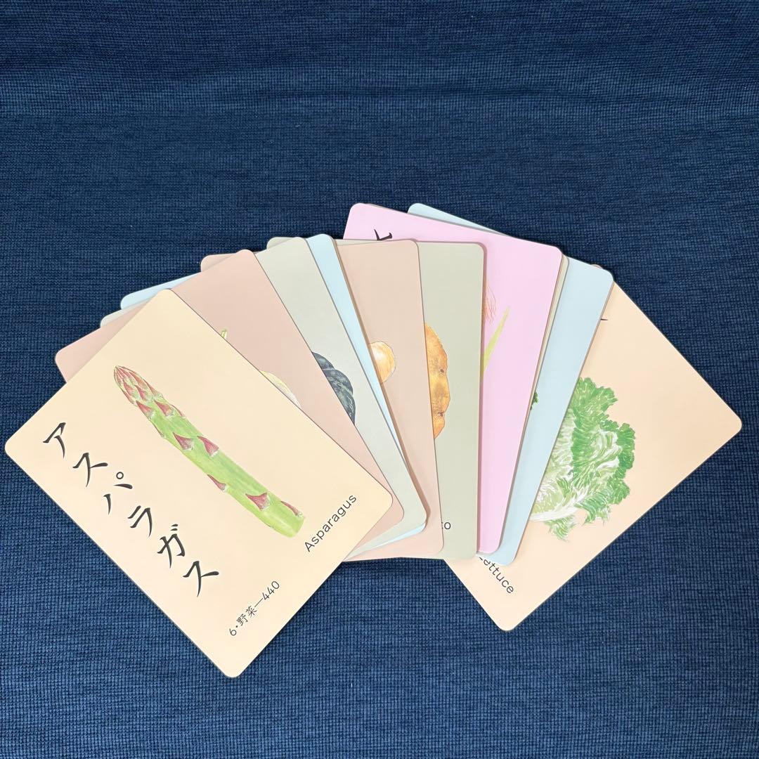 家庭保育園 たのしい絵カード1500 ABCセット CD付き フラッシュカード