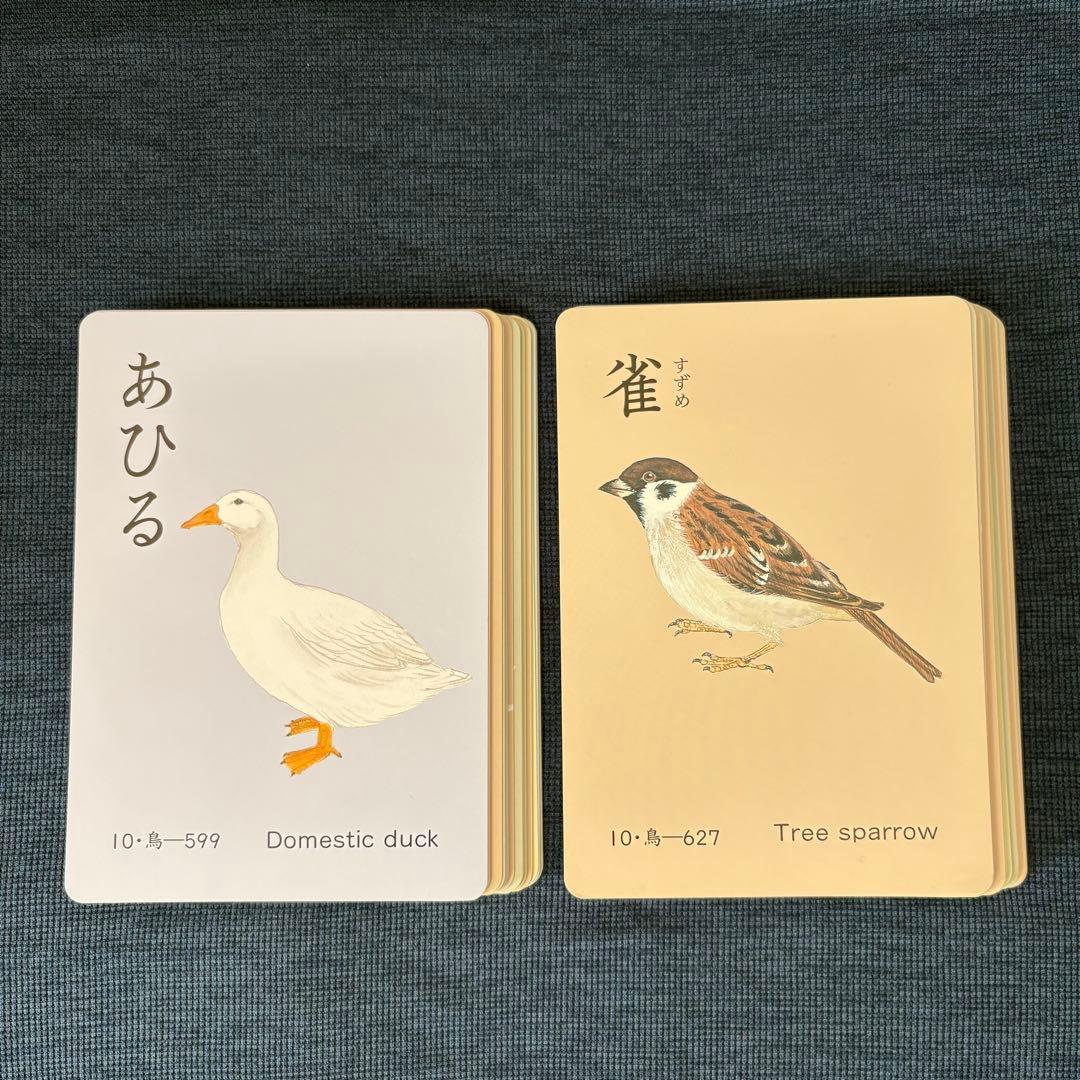 家庭保育園 たのしい絵カード1500 ABCセット CD付き フラッシュカード