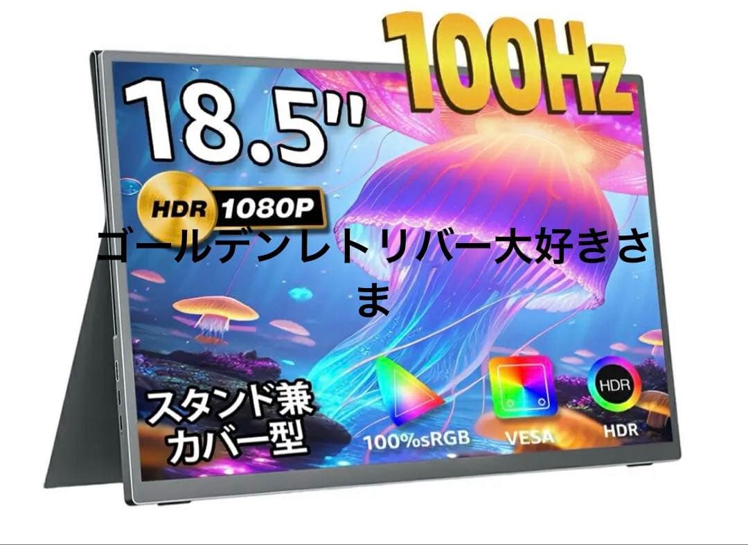 COCOPAR モバイルモニター 18.5インチ　スタンド&ケース付