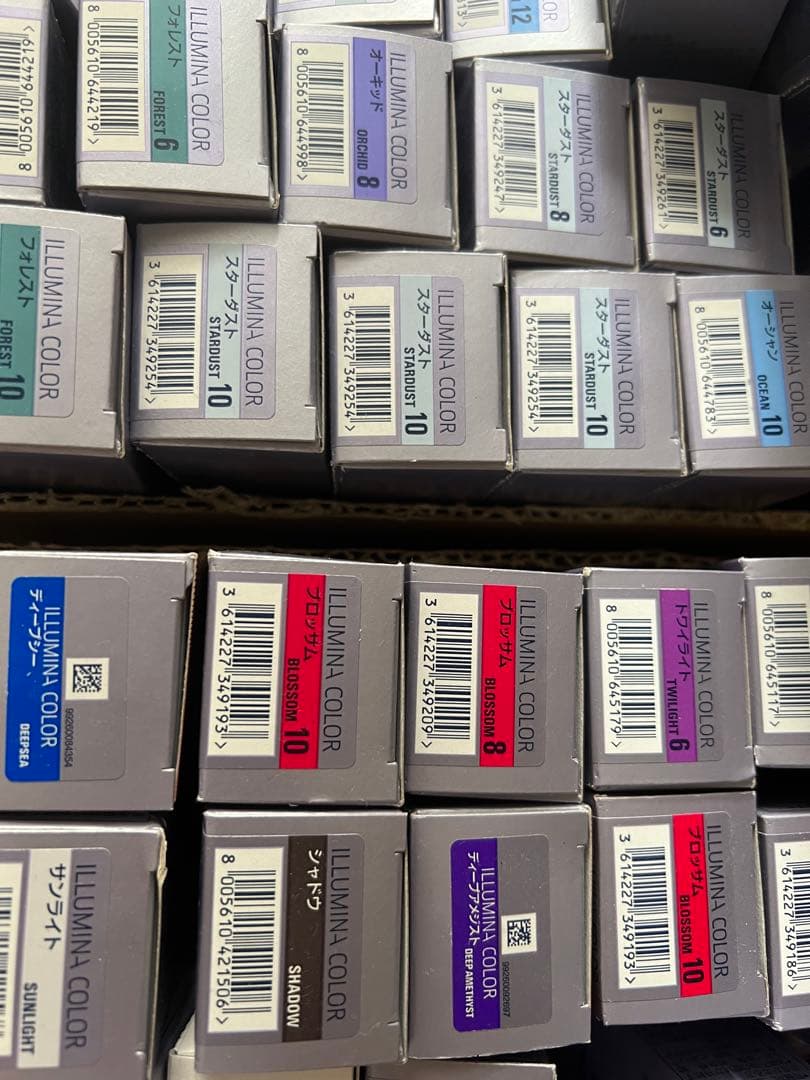 ちゃ--ん オキシ6%×2 サファリ12×10 サンライト コーラル12