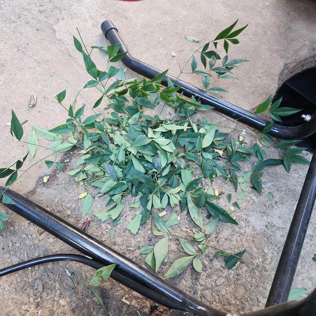 グリーンミル電動園芸機器 赤　ガーデンシュレッダー　枝粉砕機械