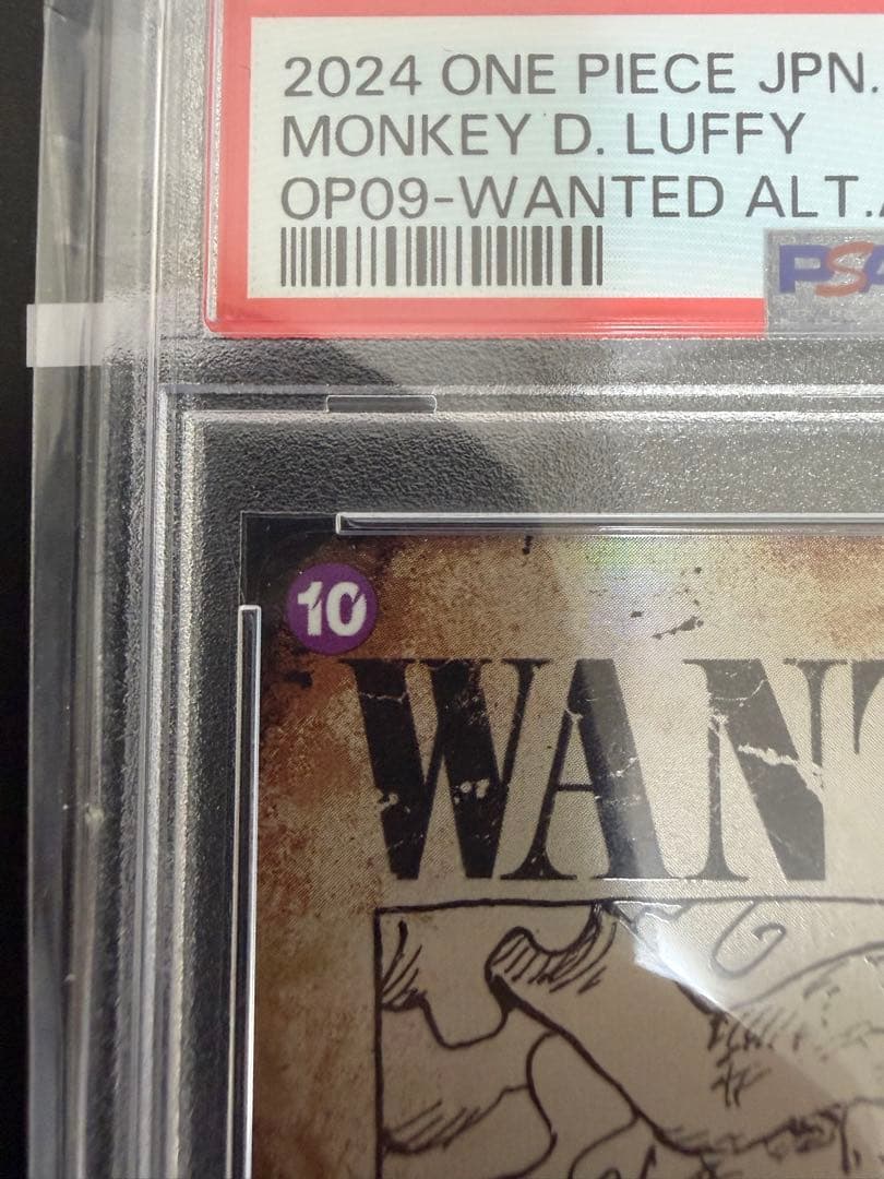 PSA10　ニカ　ルフィ　手配書　SP