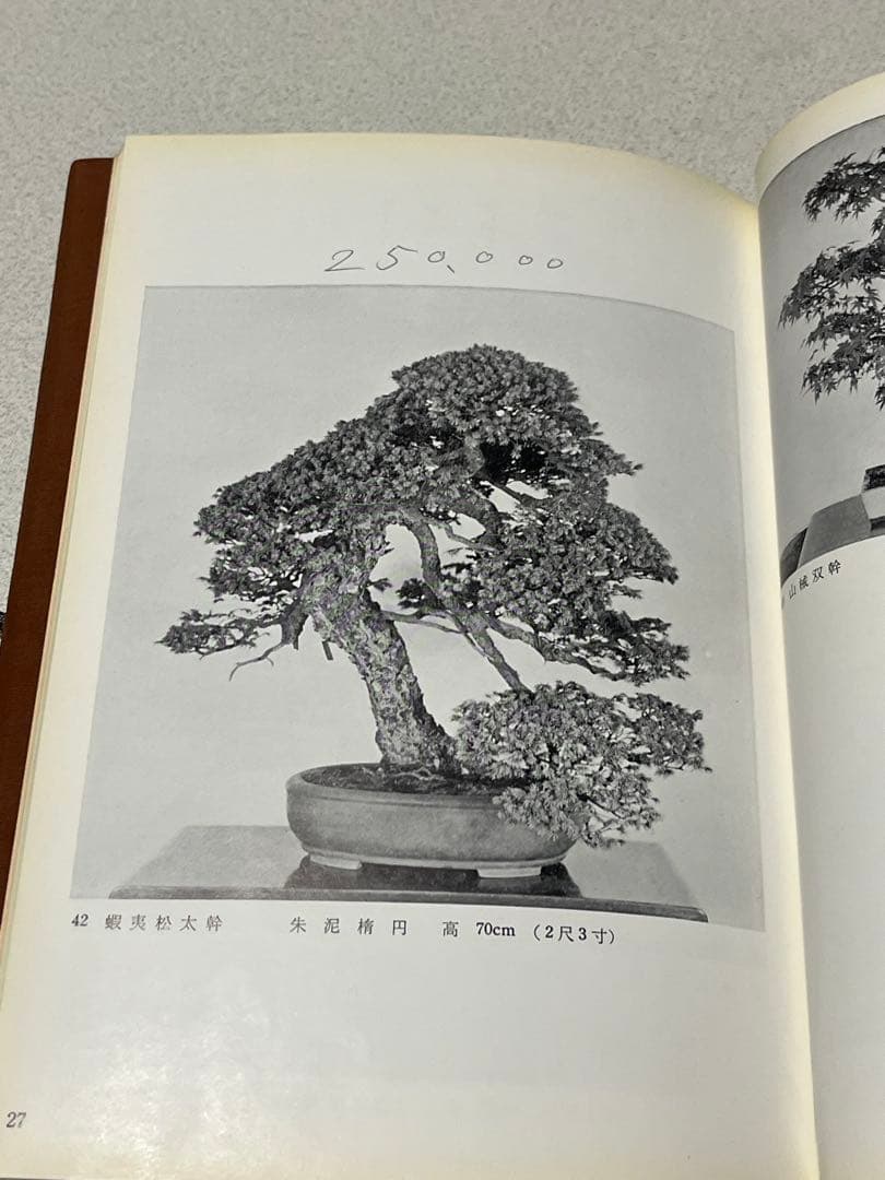 記念帖　盆栽　盆栽鉢　水石