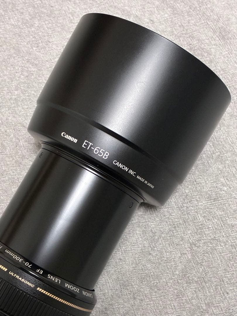 ⭐️極美品⭐️ Canon EF 70-300mm F4-5.6 IS USM 望遠