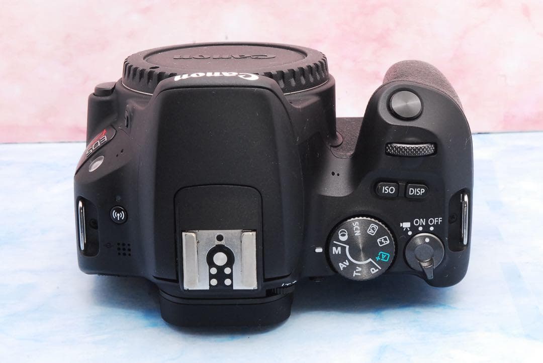 Canon kiss X9★転送OK★一眼レフカメラ★高性能STM＆超望遠