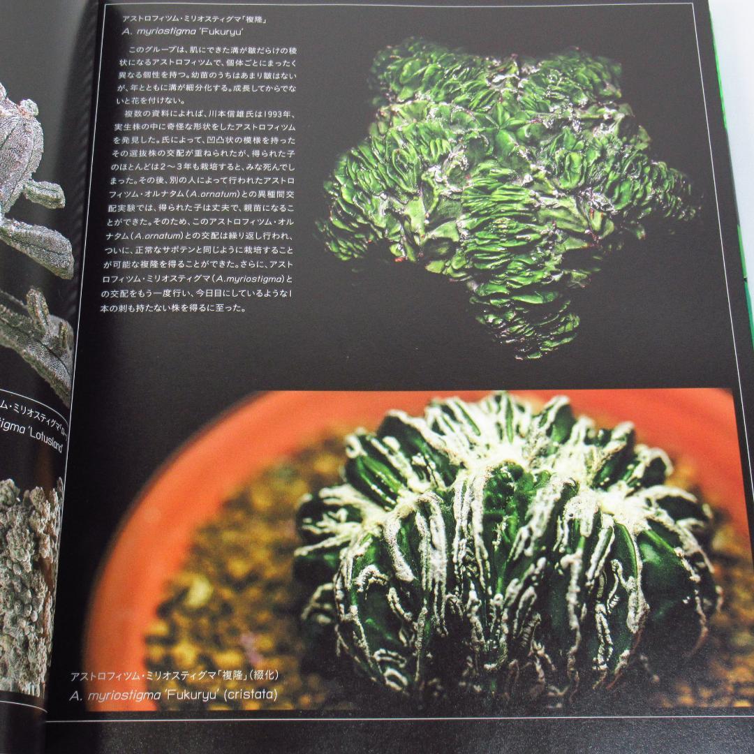 ひろ　サボテン全書 All about CACTUS 【貴重本 初版】