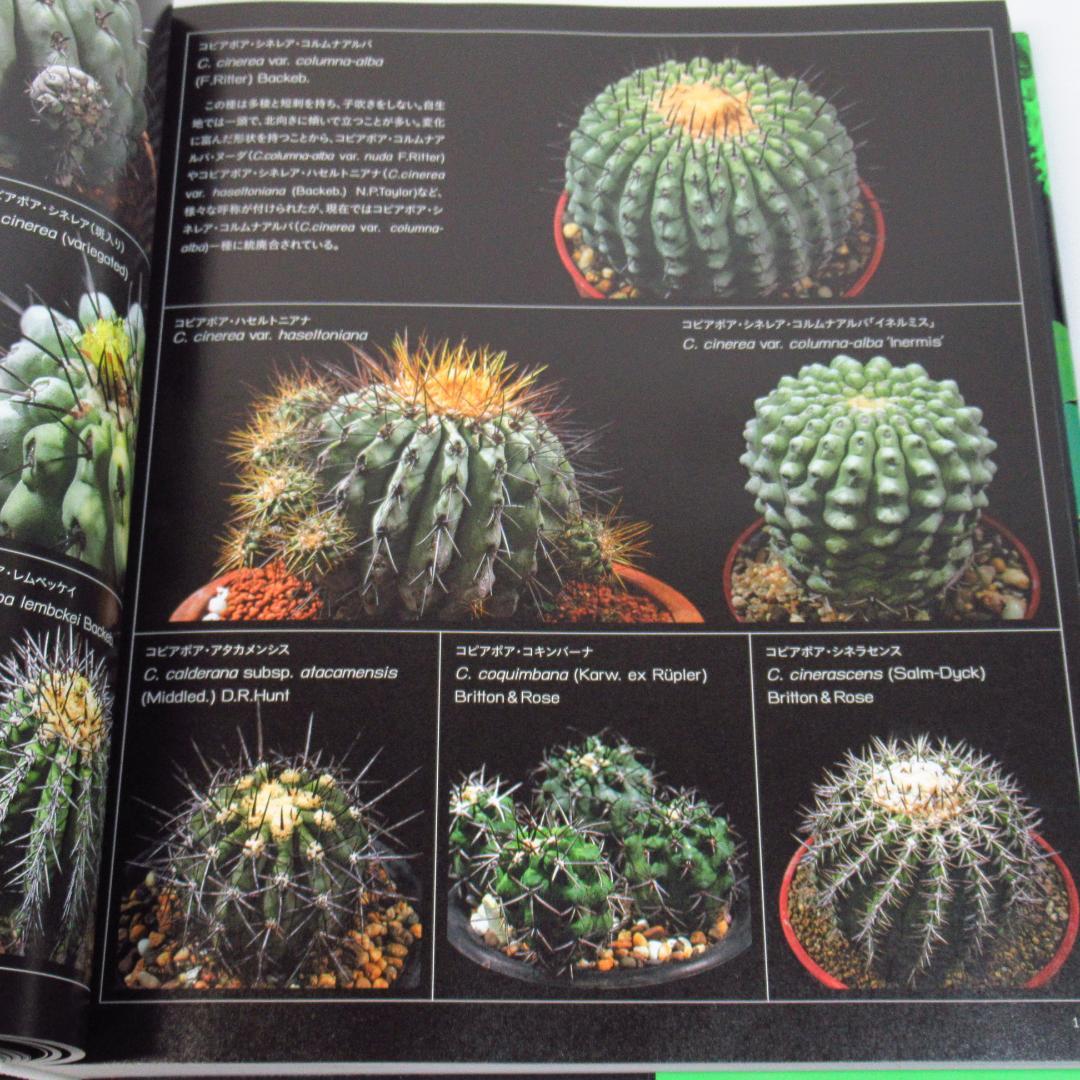 ひろ　サボテン全書 All about CACTUS 【貴重本 初版】