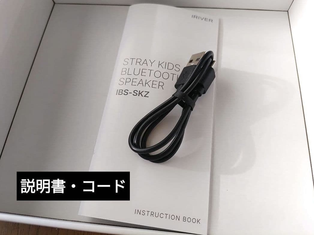 DO iT SKZOO EVIL SPEAKER ウルフチャン