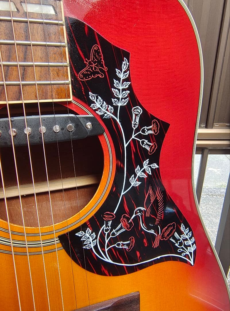 美品 ハミングバード Wピックアップ付エレアコ トップ単板