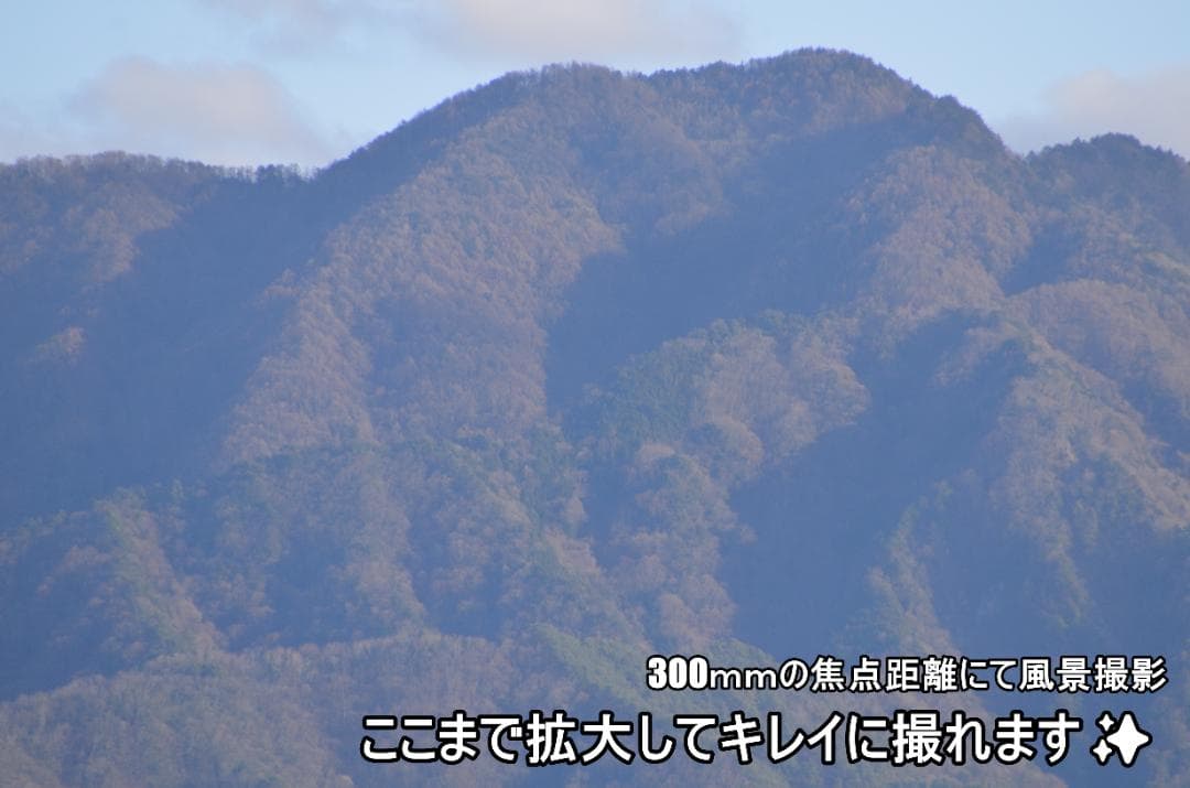 Nikon D7000　初心者～中級者　高倍率レンズセット、センサー清掃済み✨