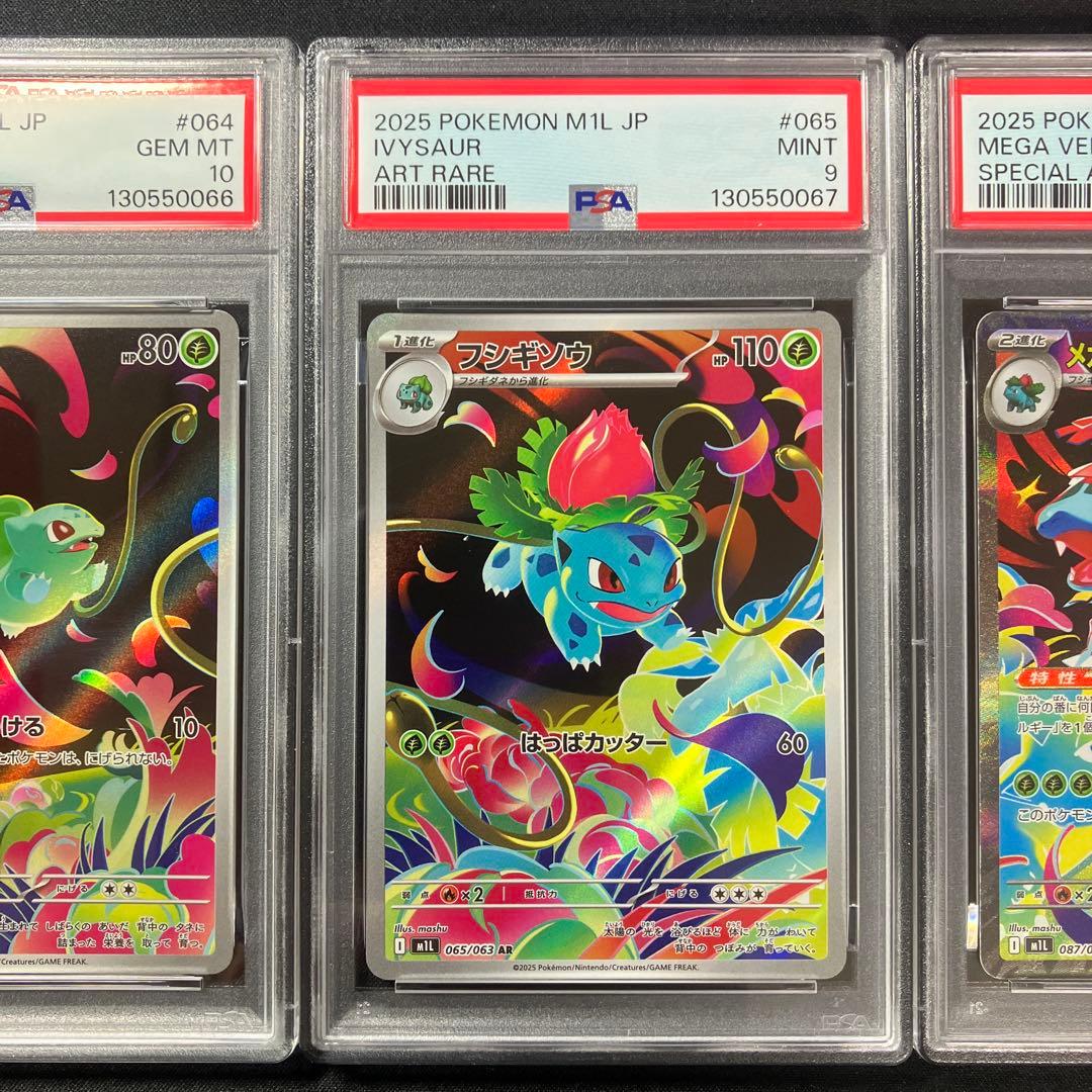 【PSA連番】メガフシギバナ　進化ライン3枚セット