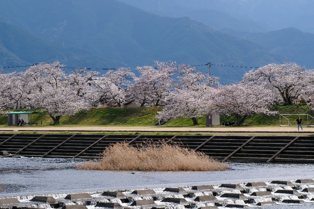 藤*昇様 FUJINON XF90mm F2 R LM WR スクエアフード付