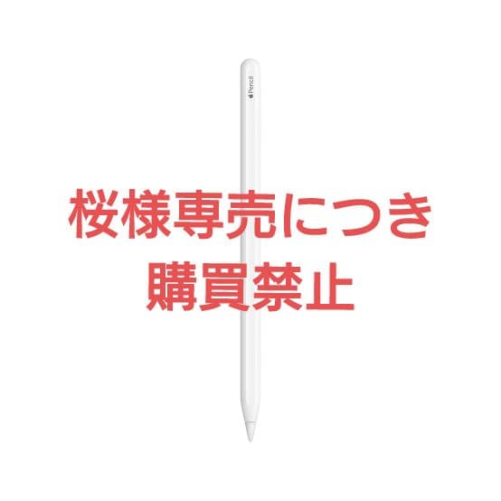 【桜様専売】Apple Pencil (第2世代) ホワイト