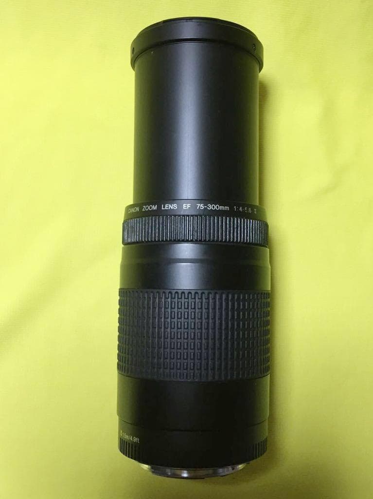 レンズ(ズーム) Canon 75-300 EF Zoom Lens