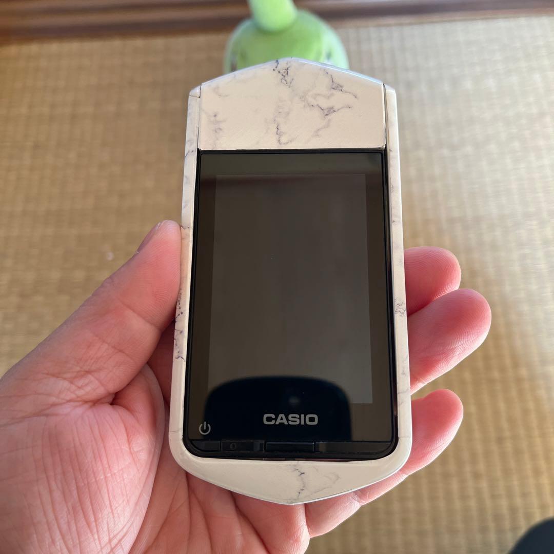 CASIO EXILIM EX-TR350 自撮りカメラ