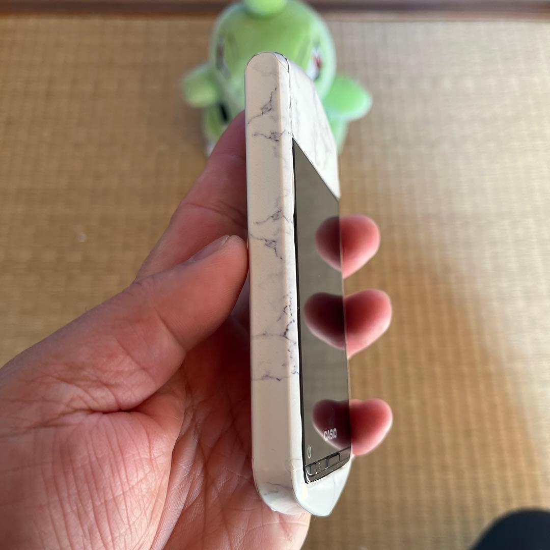 CASIO EXILIM EX-TR350 自撮りカメラ