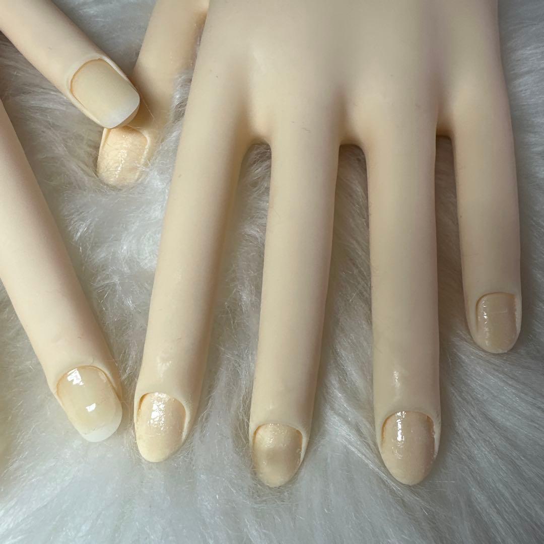 《骨折なし》JNEC 認定モデルハンド箱無し