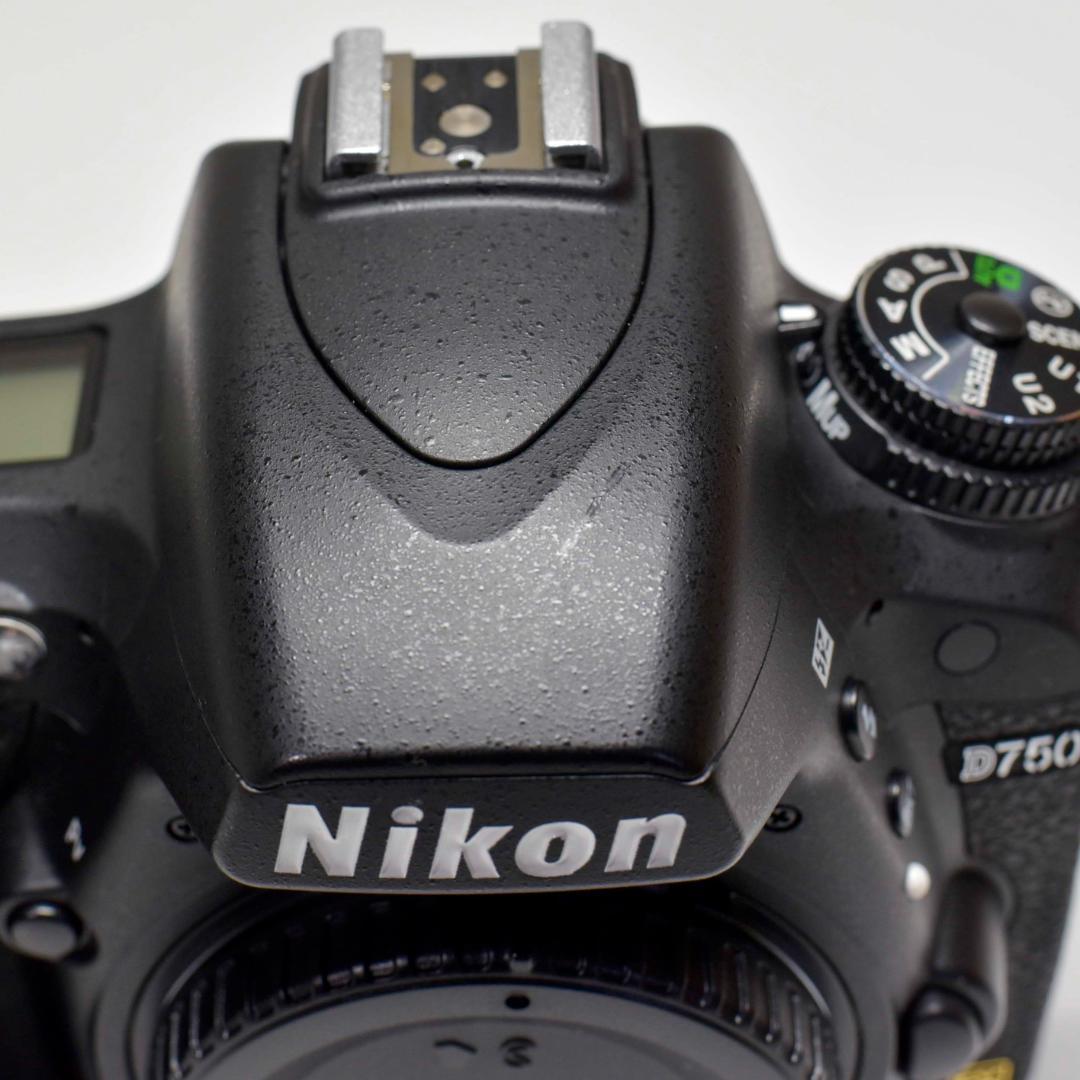 ニコン NIKON D750 シャッターカウント 13251ショット