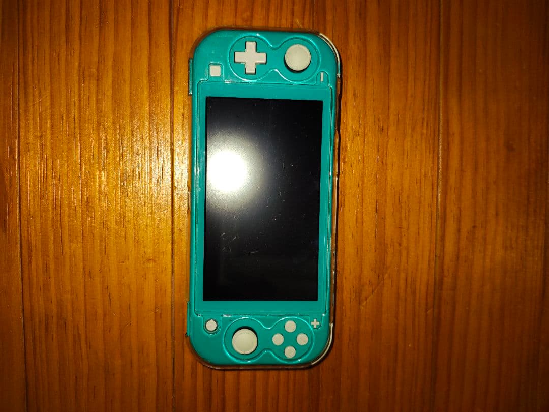 Nintendo Switch Lite アクアブルー 　ジャンク品　ケース付き