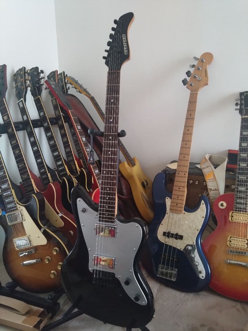 フェルナンデス JG-45　ソフトケースのオマケ付