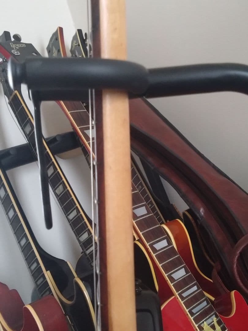 フェルナンデス JG-45　ソフトケースのオマケ付