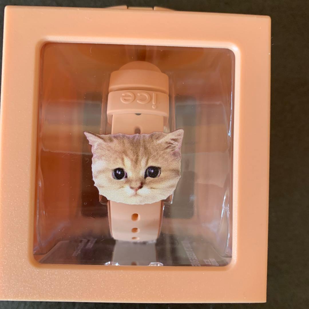 新品 PAUL & JOE アイスウォッチ 腕時計 限定モデル 猫 ヌネット