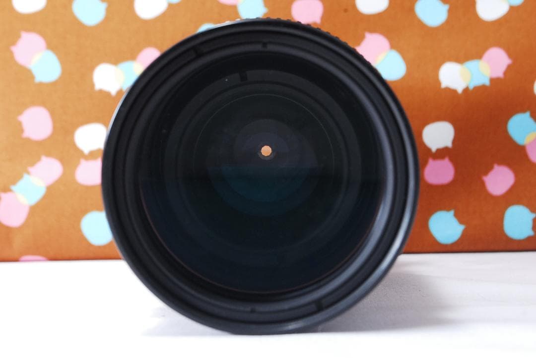 ✨美品✨ショット数5689回✨Nikon D200 レンズセット