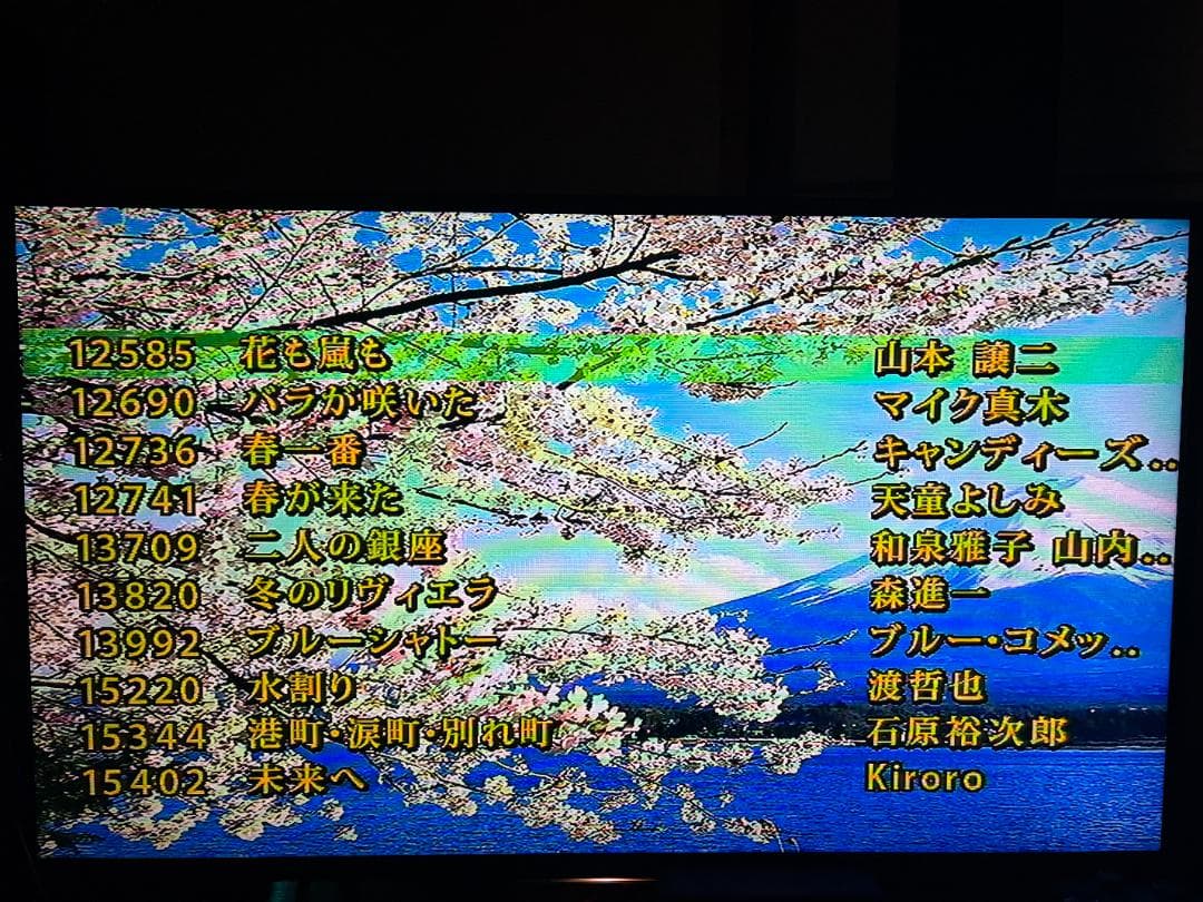 カラオケ一番 カラオケ１番 YK-3008 チップ カートリッジ 100曲