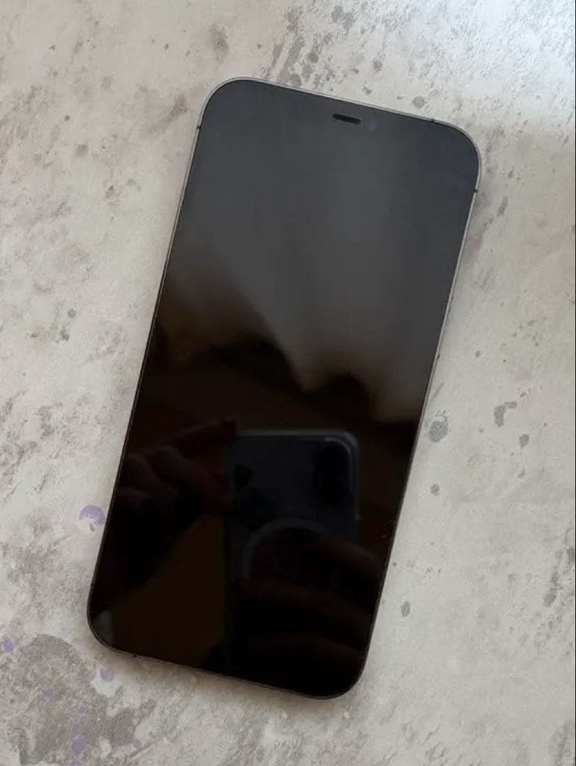 【超美品】Apple iPhone 12 Pro Max グラファイト