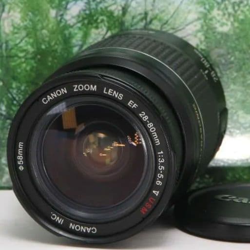 ❤️美品♪Canon EOS20D☆wifiSDでスマホ転送OK♪付属品多数❤️