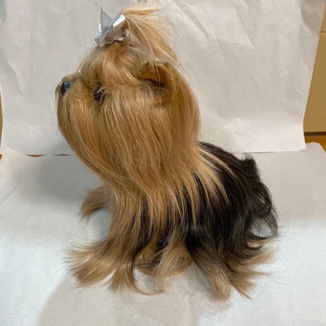 フォンテーヌ　ドレッシーペット　ヨークシャテリア