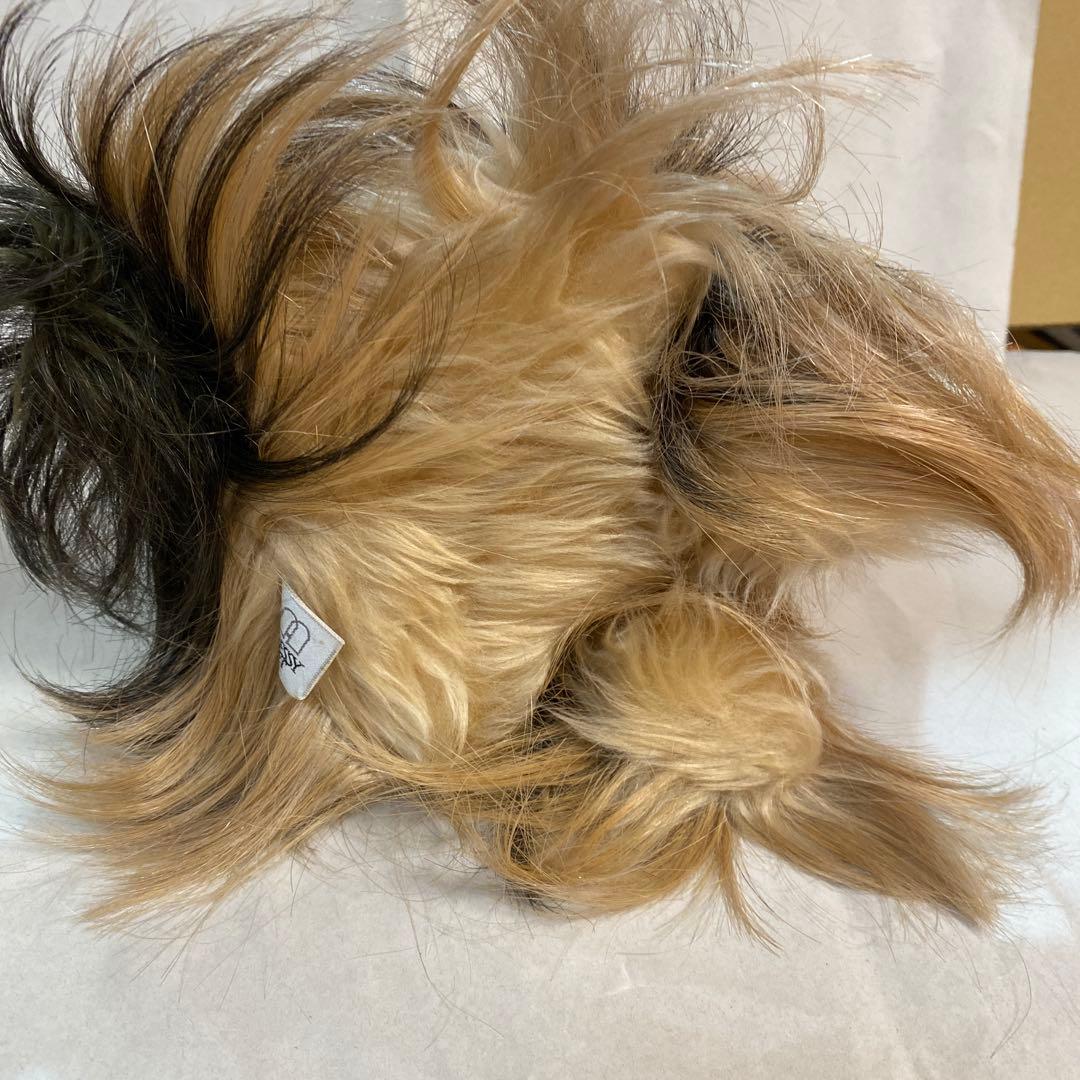 フォンテーヌ　ドレッシーペット　ヨークシャテリア