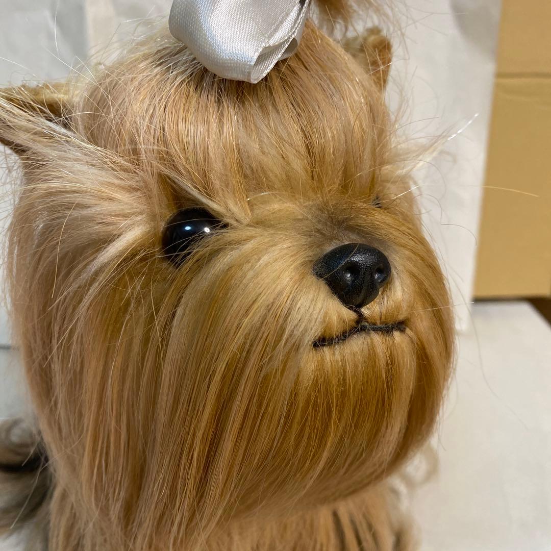 フォンテーヌ　ドレッシーペット　ヨークシャテリア