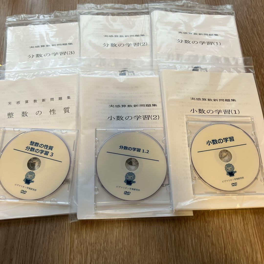 ピグマリオン　小数の学習 分数の学習　整数の性質　未記入