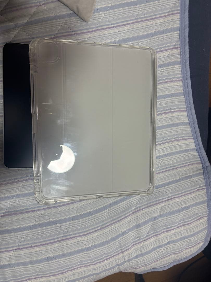 ipad pro 12.9インチ　シルバー　256gb 第5世代