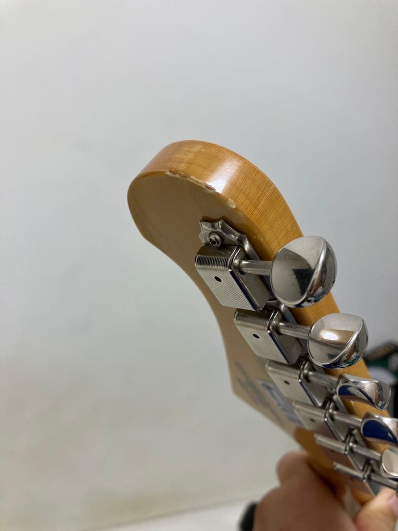 フジゲンFGNネオクラシックシリーズ　NCST-10R/3S