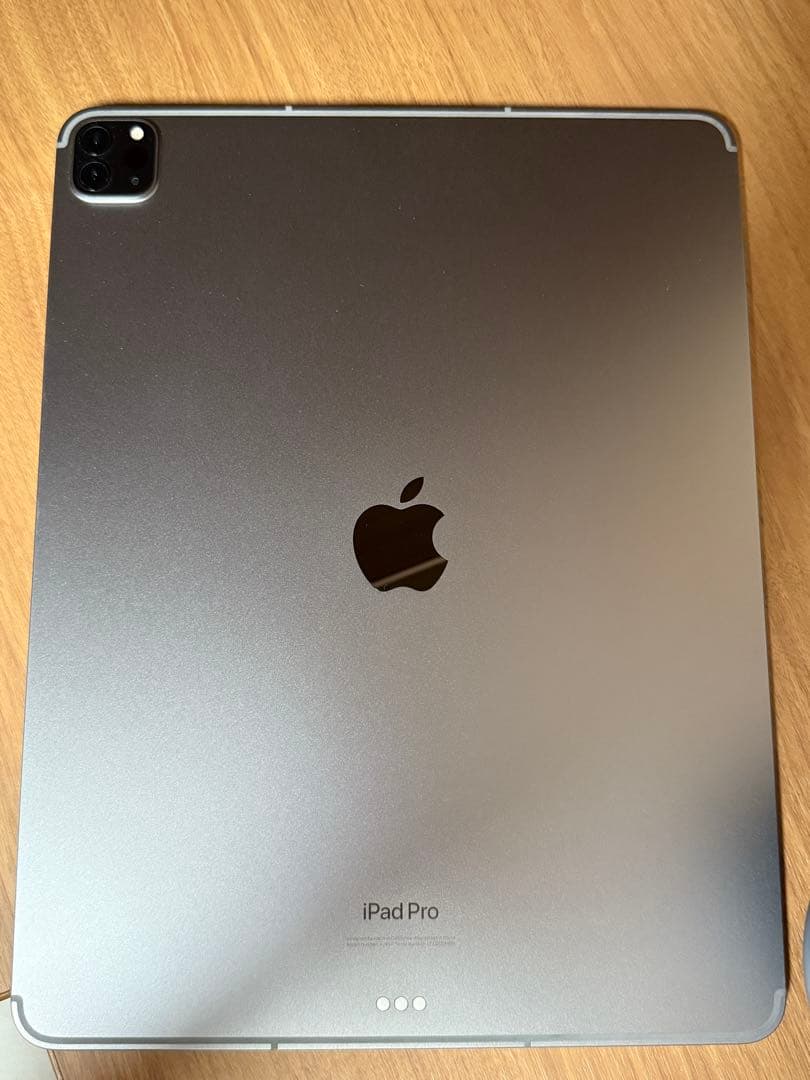 iPad Pro 第6世代 256GB Wi-Fiモデル+cellular