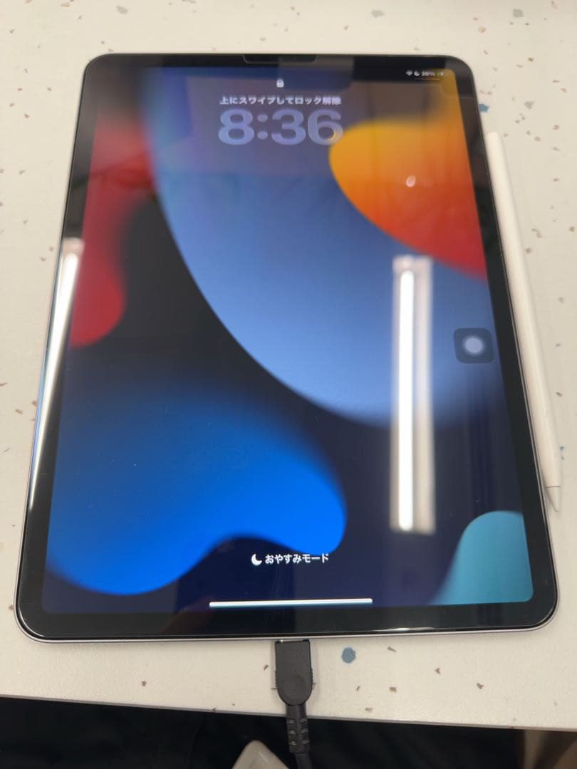 iPad Pro 11インチ 第4世代 M2Apple Pencil ケース付き