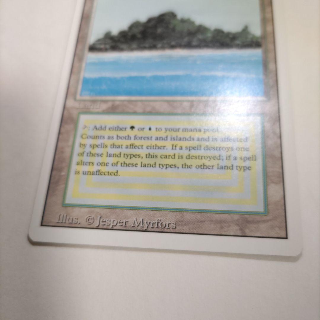 MTG Tropical  英語版 1枚 土地カード