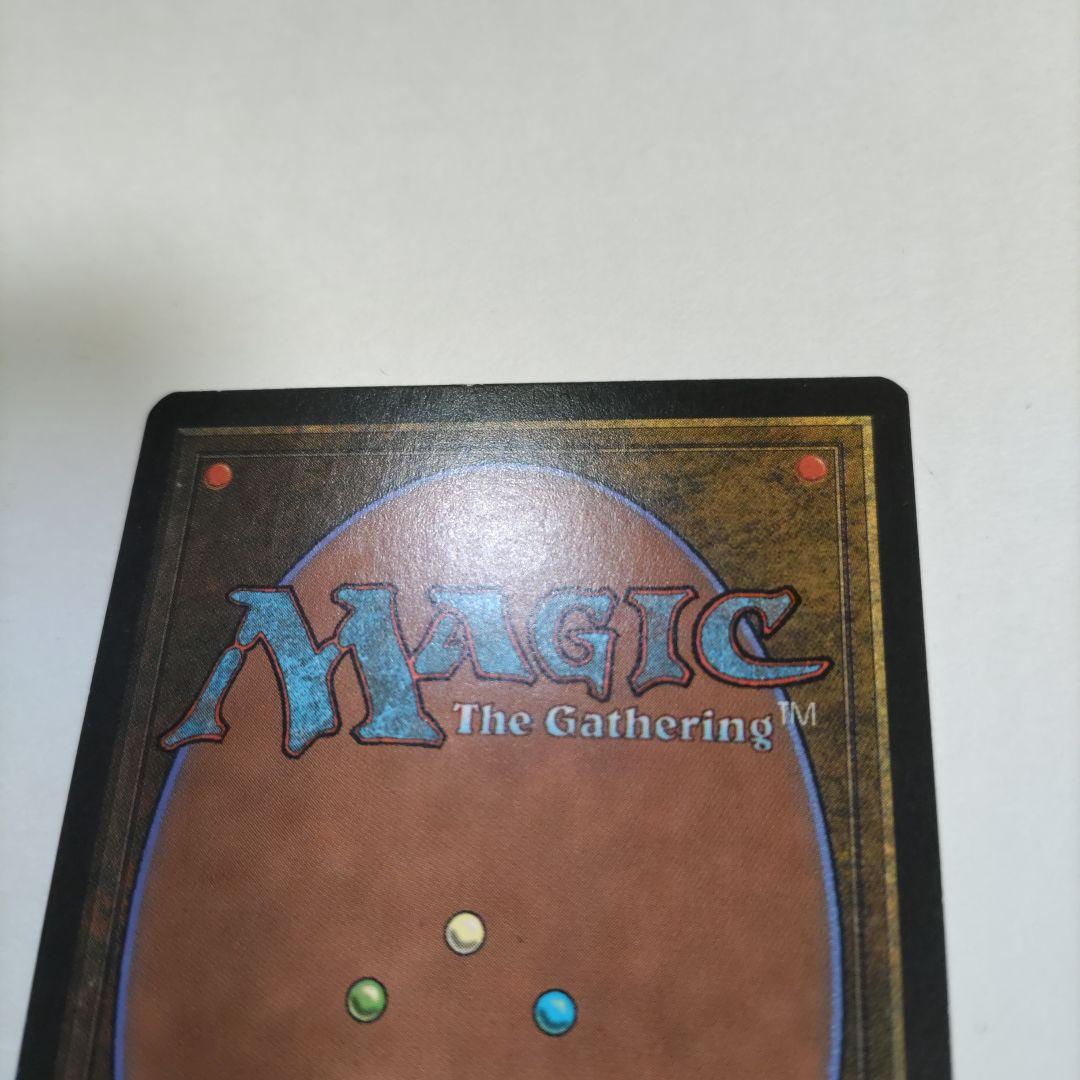 MTG Tropical  英語版 1枚 土地カード