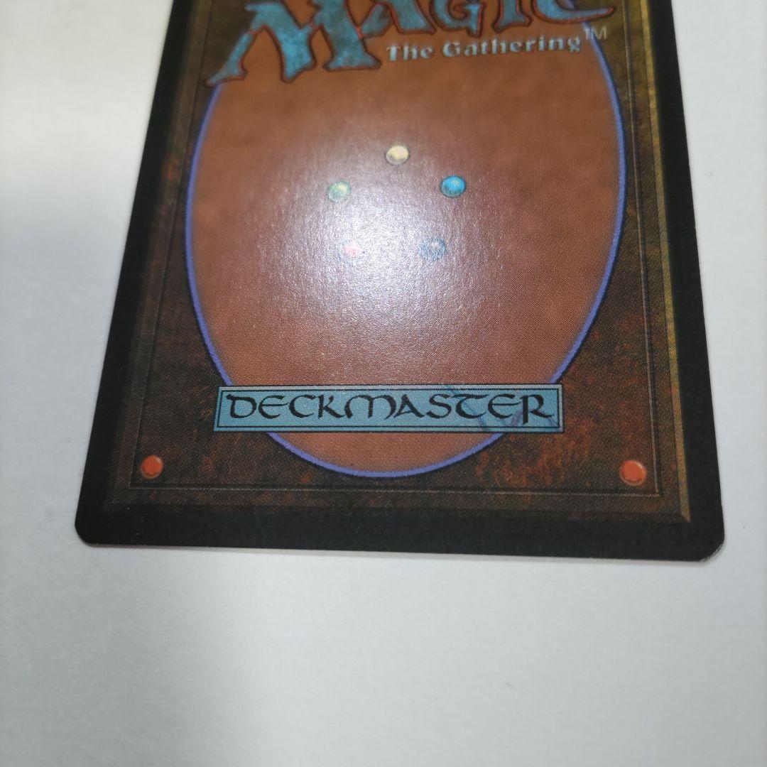 MTG Tropical  英語版 1枚 土地カード