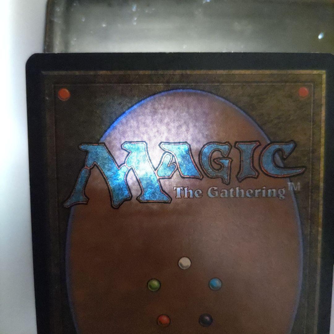 MTG Tropical  英語版 1枚 土地カード