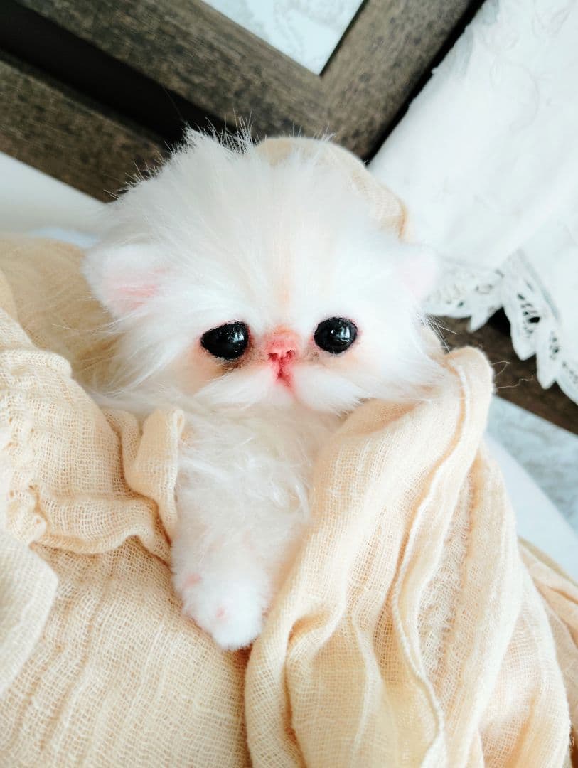 エキゾチック♡子猫のぷんちゃん♡アートドール♡ぬいぐるみ♡