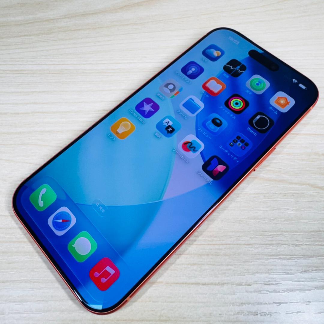 P309 美品 物理SIMカード対応 iPhone17 Pro Max 1TB