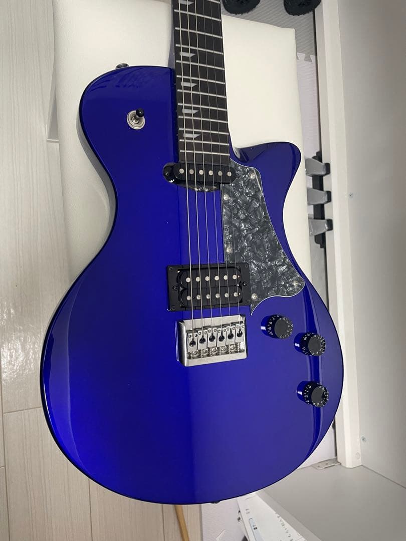 ギター RYOGA HORNET/LE