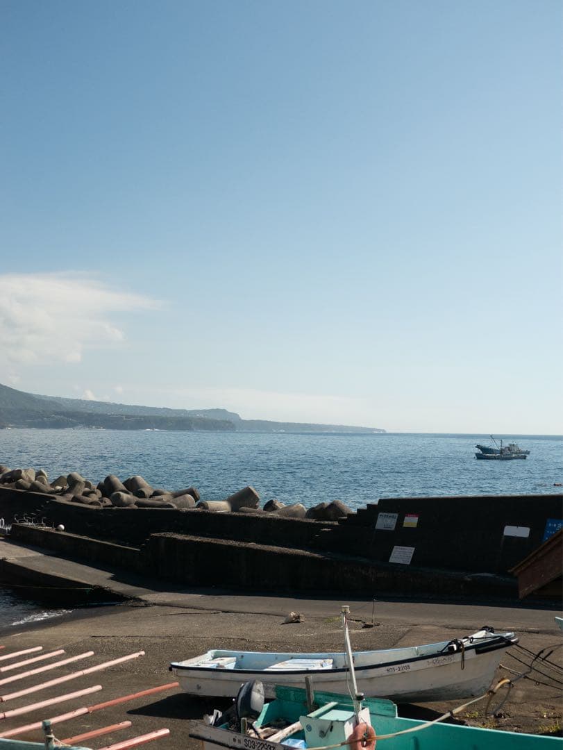 Panasonic LUMIX 14-45mm マイクロフォーサーズ レンズ