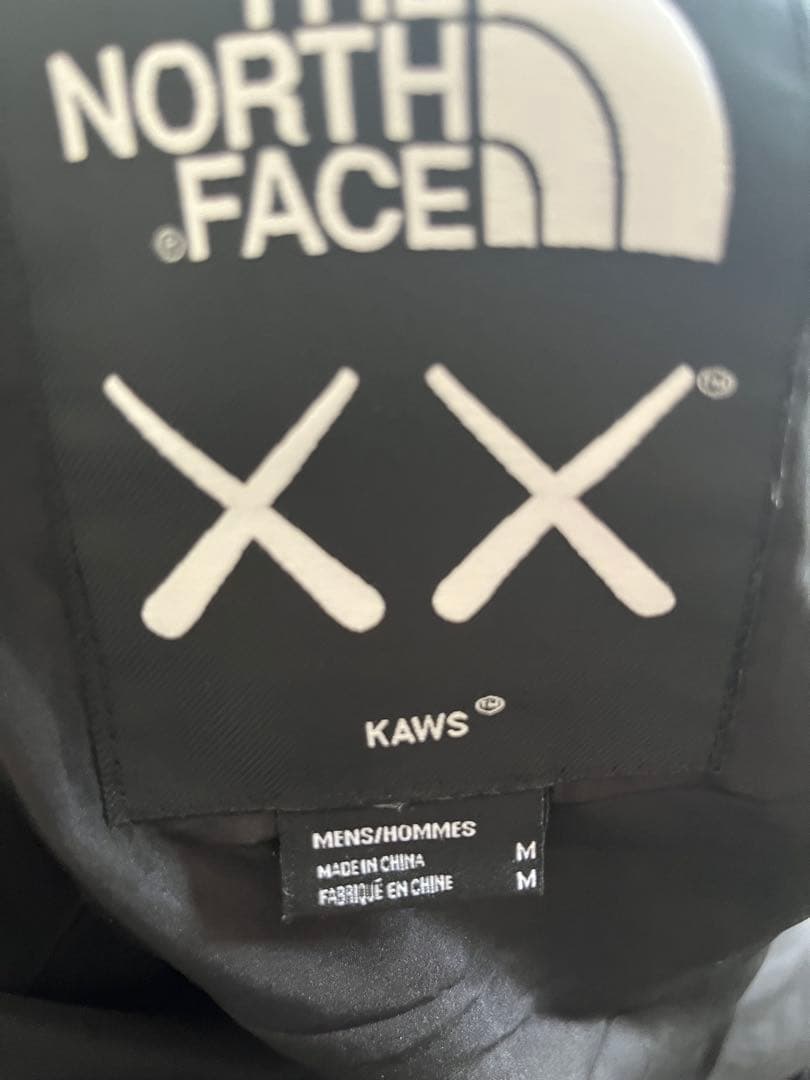 the north face kaws マウンテンジャケット